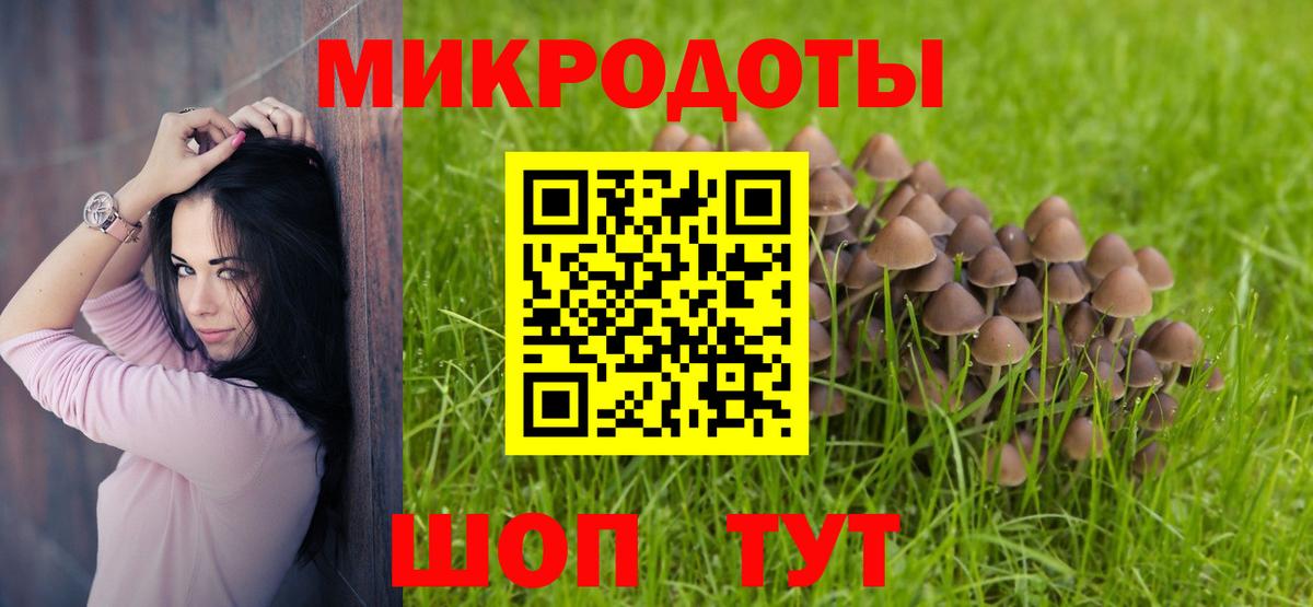 Алексеевка  Псилоцибиновые грибы MAGIC MUSHROOMS  Вход с VPN 